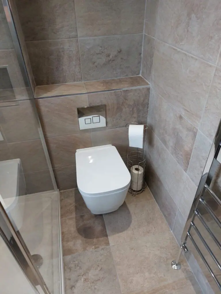 Wall hung toilet
