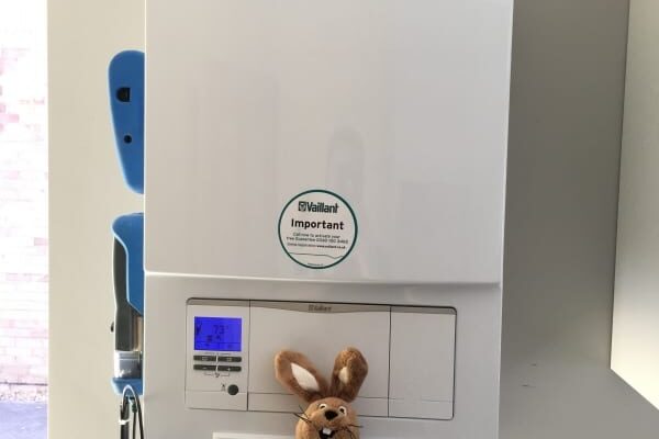 Vailliant Boiler with Rabbit