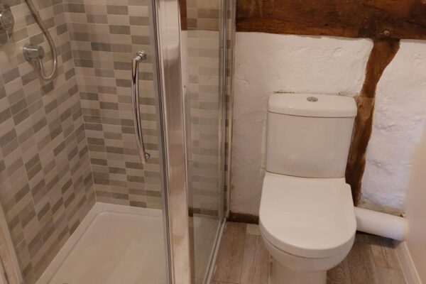 Lucy close coupled wc with Lakes shower cubicle