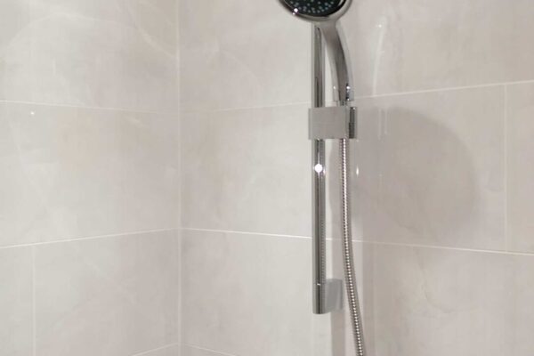 Mira Platinum dual digital shower
